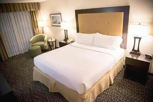 Holiday Inn Little Rock-Airport-Conference Center image 42